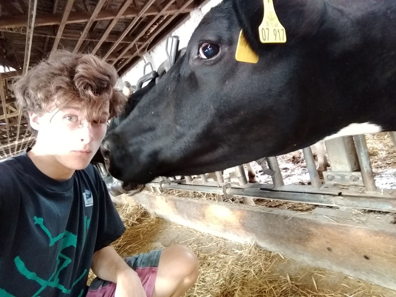 Foto